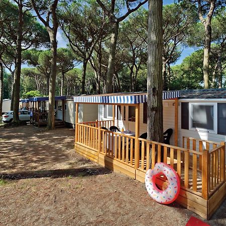 Albatross Mobile Homes On Camping Mare E Pineta 里杜德里伊斯坦西 外观 照片