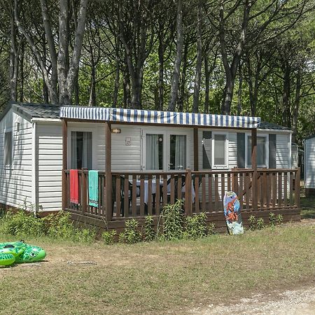 Albatross Mobile Homes On Camping Mare E Pineta 里杜德里伊斯坦西 外观 照片
